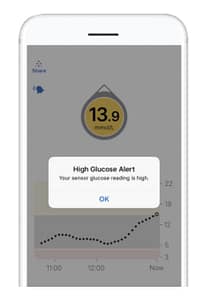 Example high glucose alert screen on a CGM device.